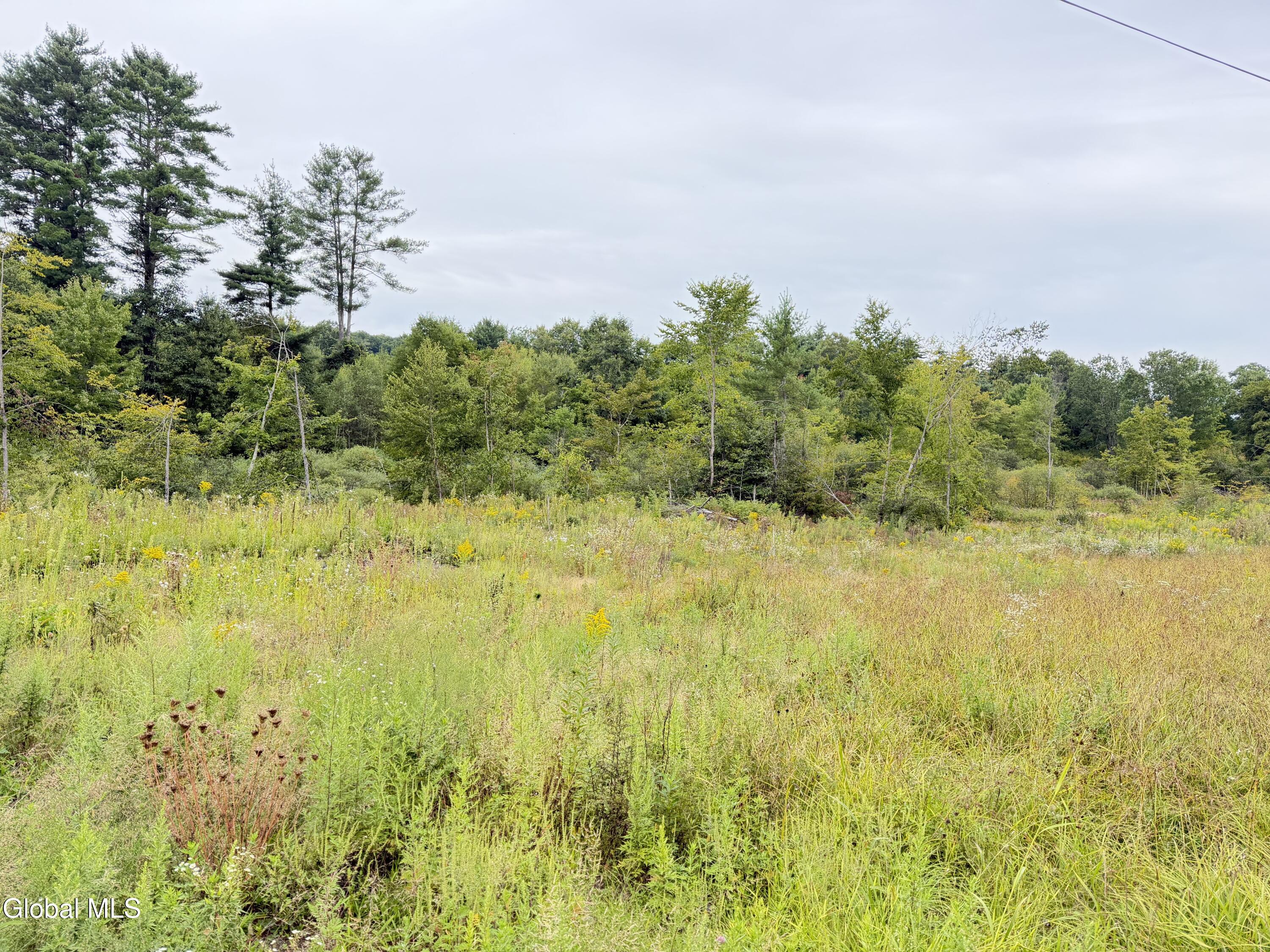 L4 Lee Brook Ln Off Salem NY 12865