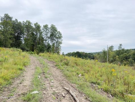 L4 Lee Brook Ln Off Salem NY 12865