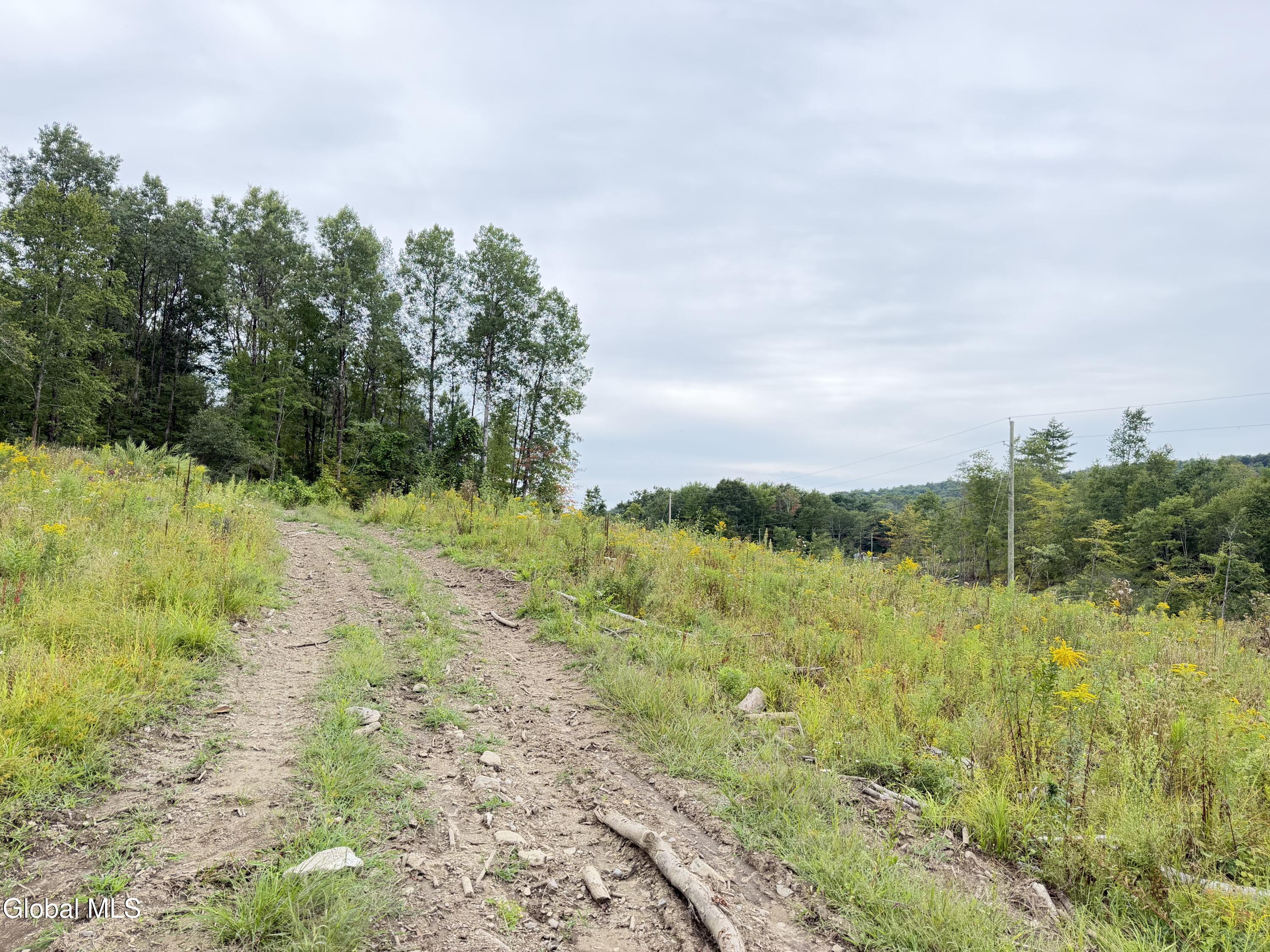 L4 Lee Brook Ln Off Salem NY 12865