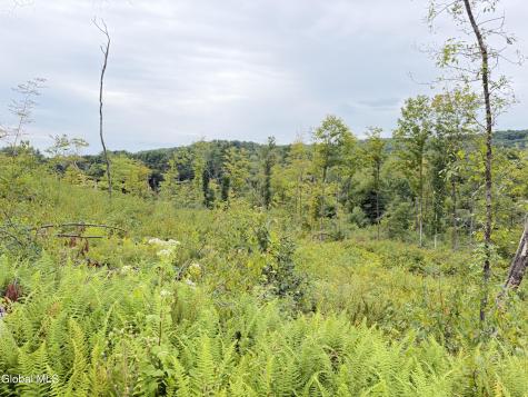 L4 Lee Brook Ln Off Salem NY 12865