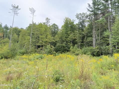 L4 Lee Brook Ln Off Salem NY 12865