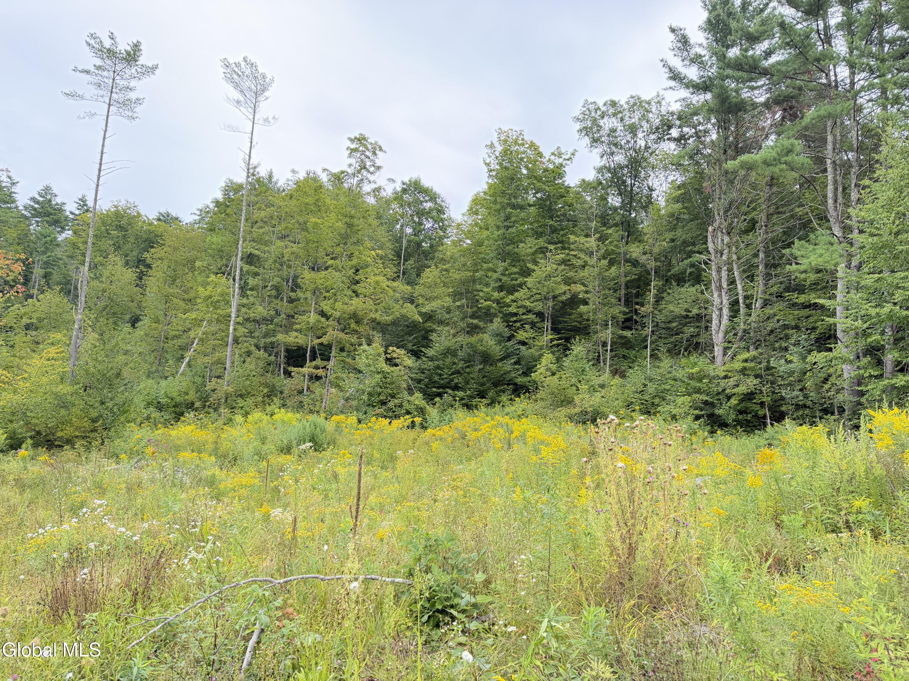 L4 Lee Brook Ln Off Salem NY 12865