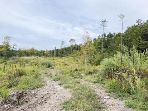 L4 Lee Brook Ln Off Salem NY 12865