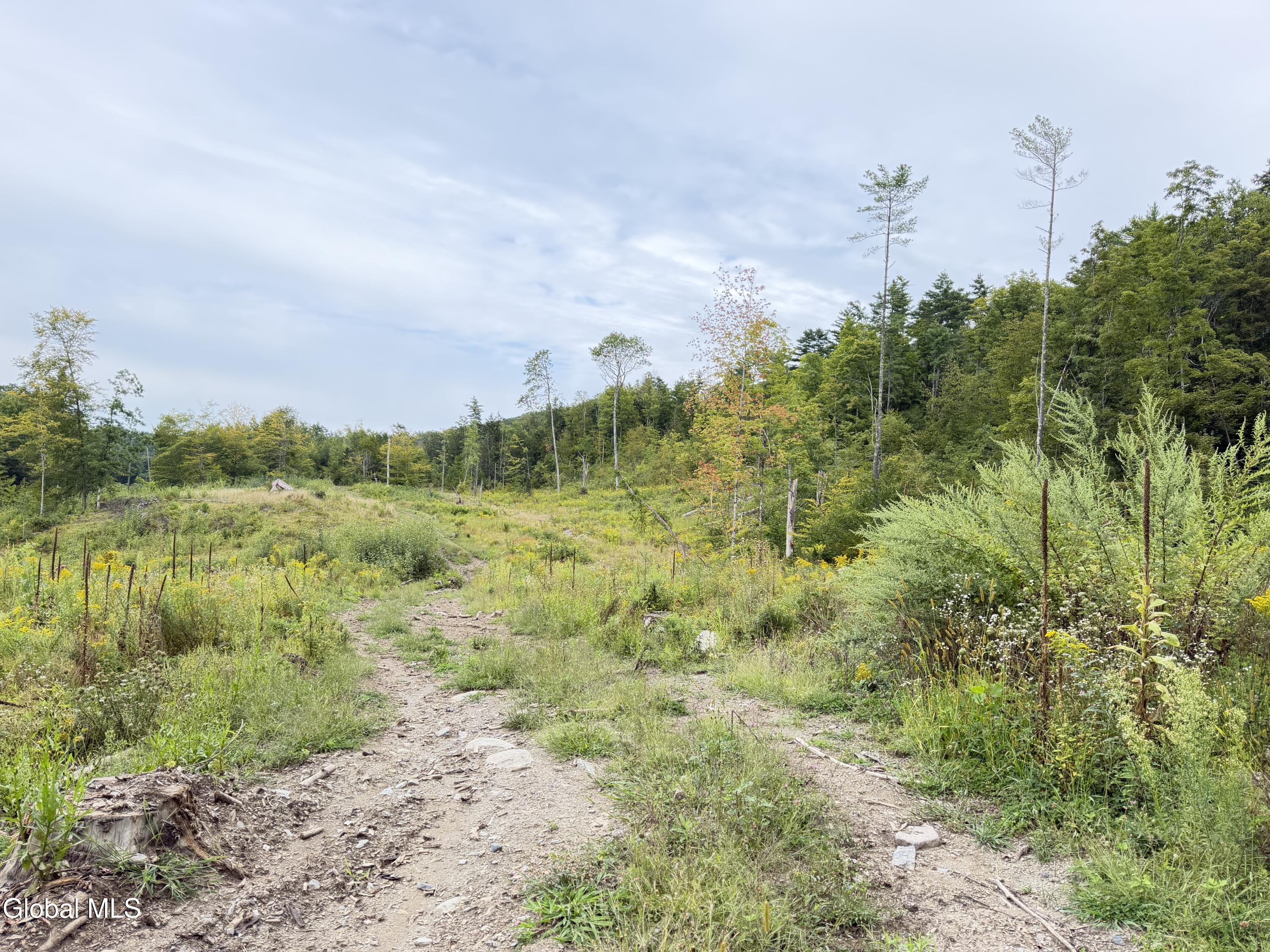 L4 Lee Brook Ln Off Salem NY 12865