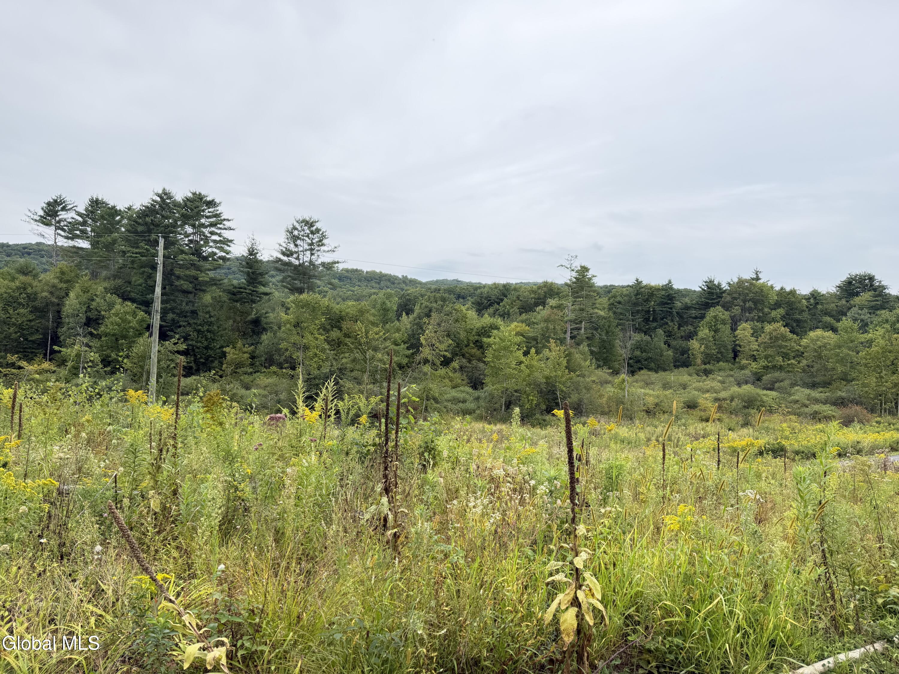 L4 Lee Brook Ln Off Salem NY 12865