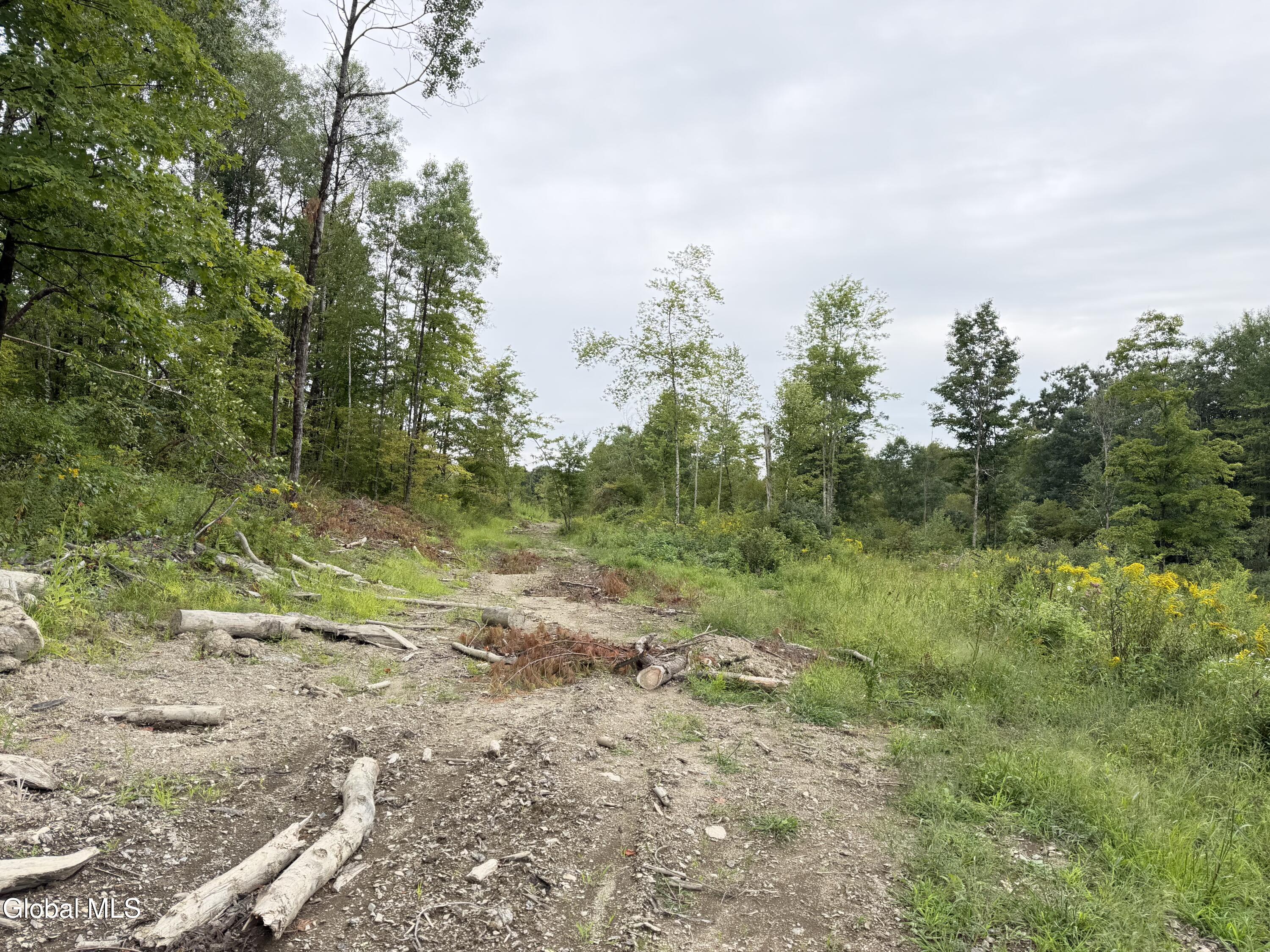 L4 Lee Brook Ln Off Salem NY 12865