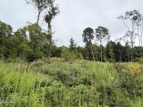 L4 Lee Brook Ln Off Salem NY 12865