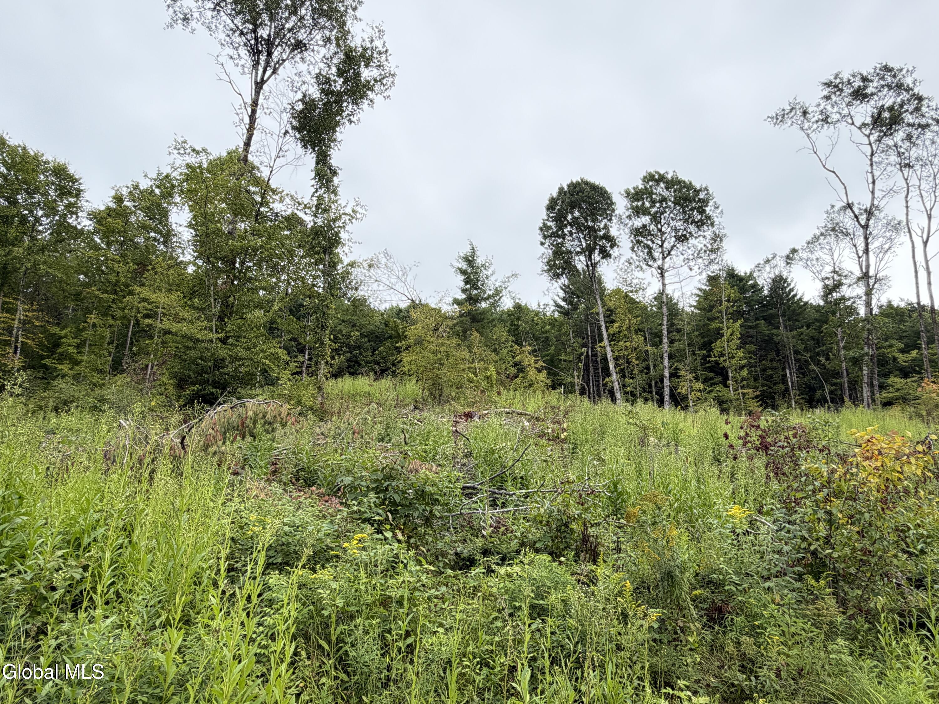 L4 Lee Brook Ln Off Salem NY 12865
