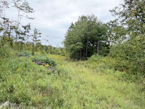 L4 Lee Brook Ln Off Salem NY 12865