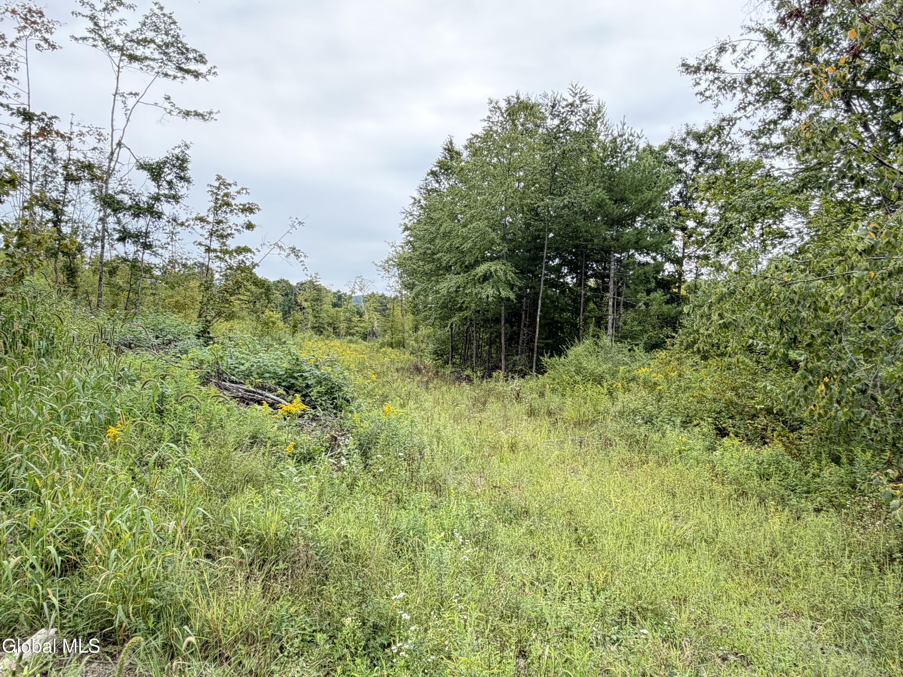 L4 Lee Brook Ln Off Salem NY 12865