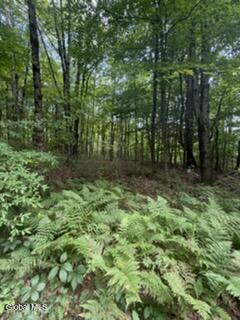 3006 County Highway 107 Amsterdam NY 12010
