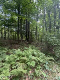 3006 County Highway 107 Amsterdam NY 12010