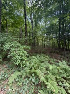 3006 County Highway 107 Amsterdam NY 12010
