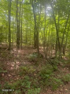 3006 County Highway 107 Amsterdam NY 12010