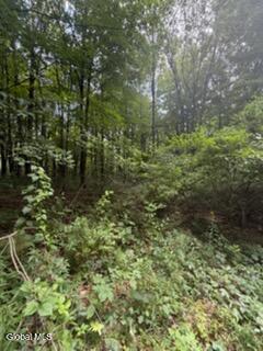 3006 County Highway 107 Amsterdam NY 12010