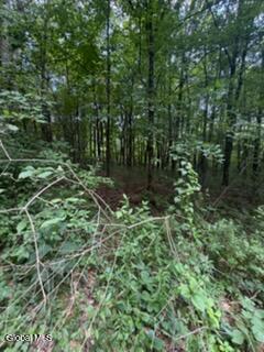 3006 County Highway 107 Amsterdam NY 12010