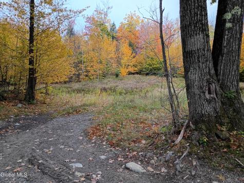 L29.13 Fire Tower Road Grafton NY 12138
