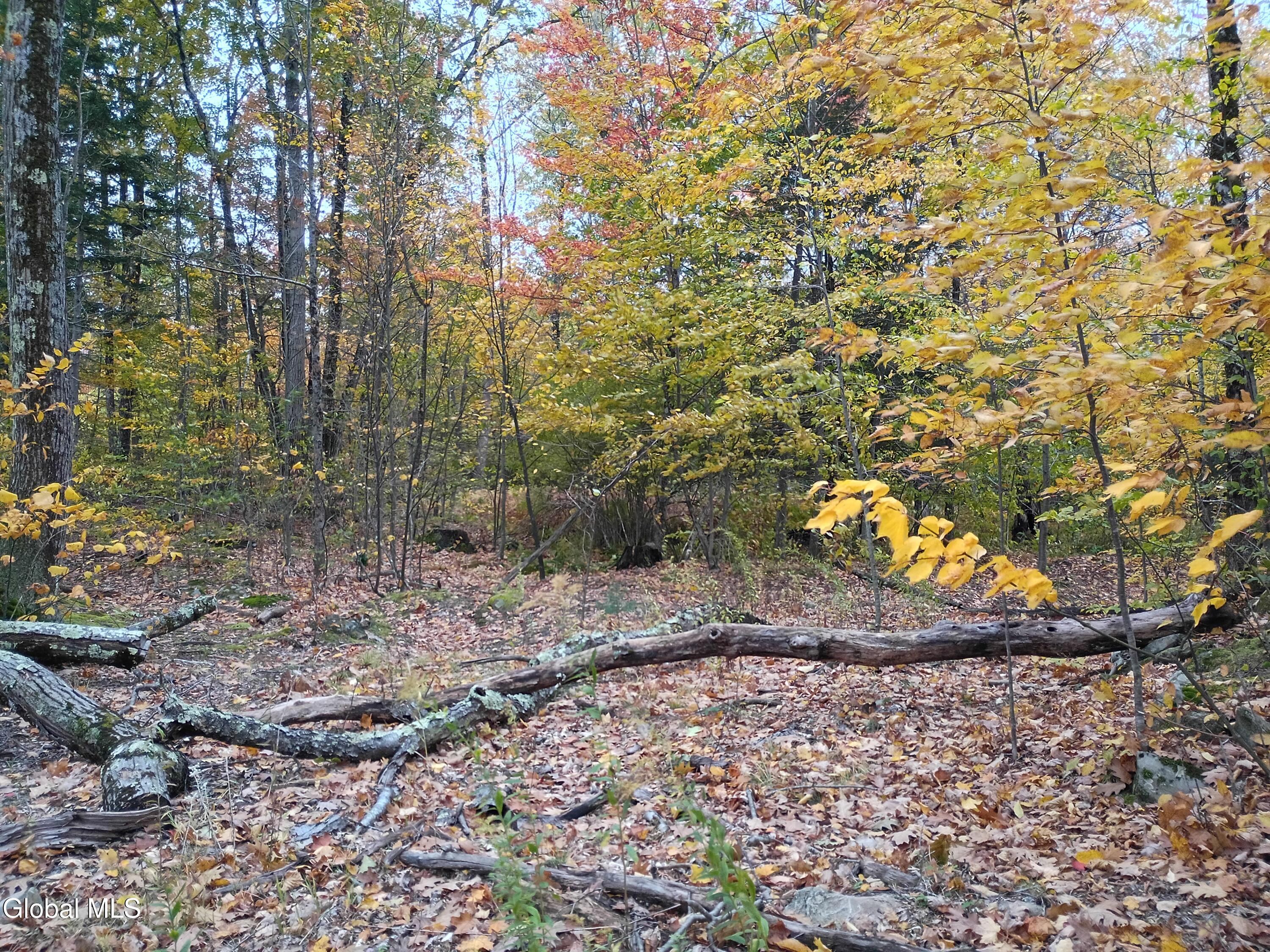 L29.13 Fire Tower Road Grafton NY 12138