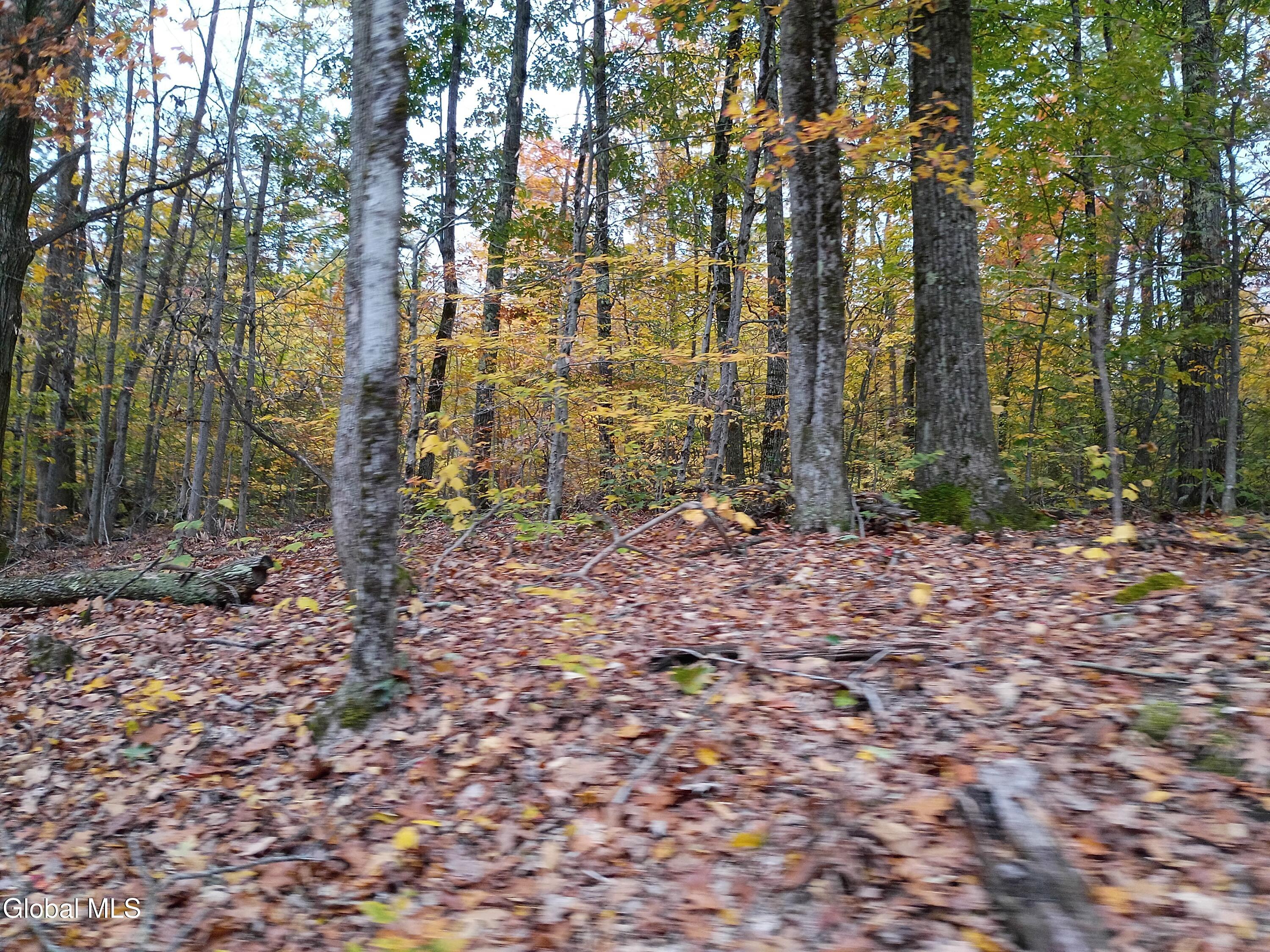 L29.13 Fire Tower Road Grafton NY 12138