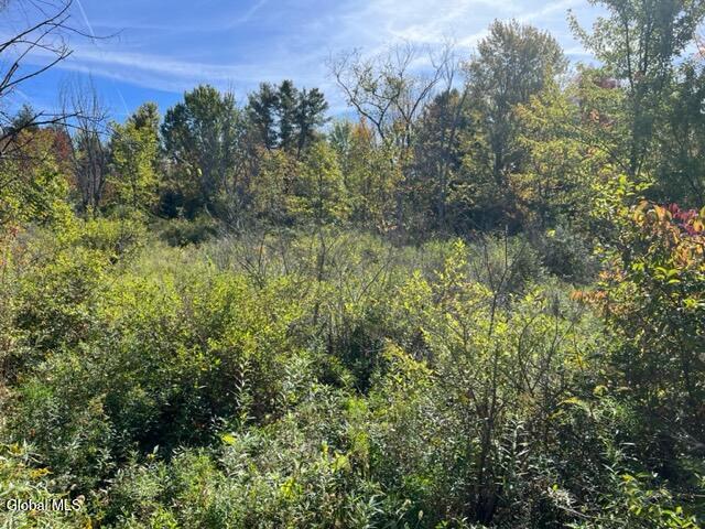 L16.4 Duanesberg Road Duanesburg NY 12056