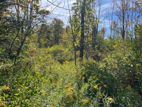 L16.4 Duanesberg Road Duanesburg NY 12056