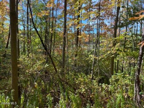L16.4 Duanesberg Road Duanesburg NY 12056