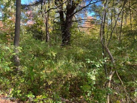 L16.4 Duanesberg Road Duanesburg NY 12056
