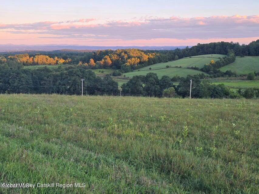 Lot 6 Route 51 Coxsackie NY 12051