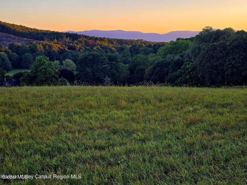 Lot 6 Route 51 Coxsackie NY 12051