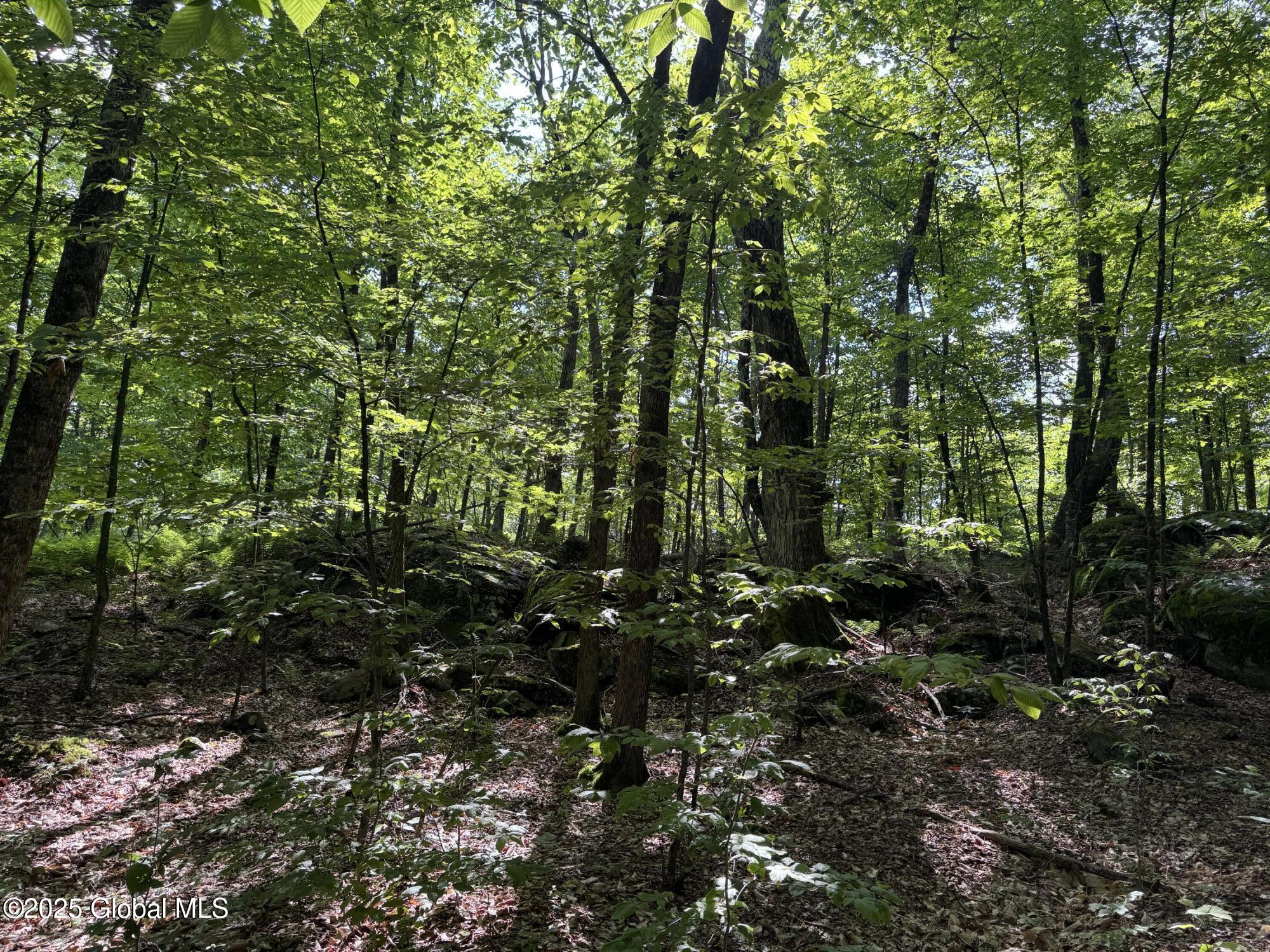 2 Wills Way Edinburg NY 12134