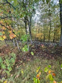 L23 Sunny Hill Acrs Greenville NY 12083