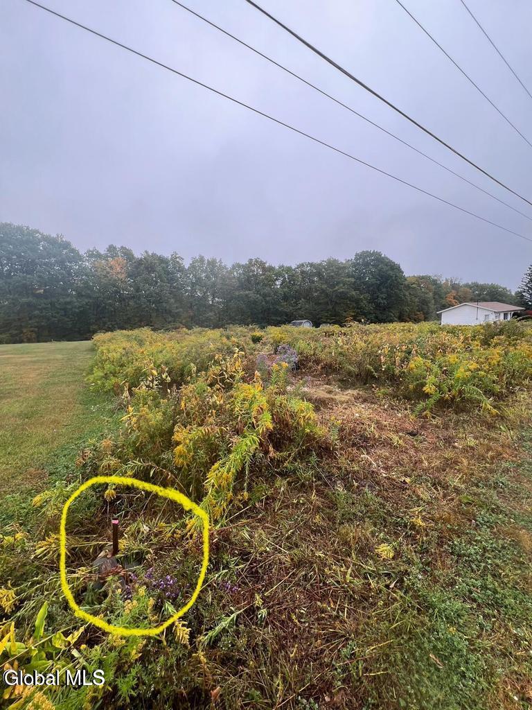 L23 Sunny Hill Acrs Greenville NY 12083