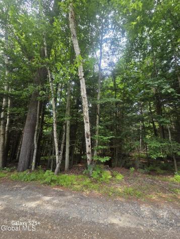 L18 Fonda Private Avenue Hadley NY 12835