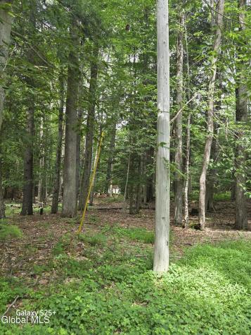 L18 Fonda Private Avenue Hadley NY 12835