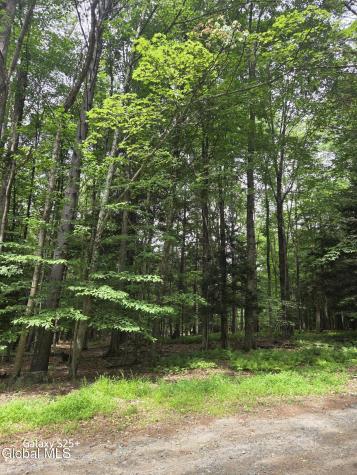 L18 Fonda Private Avenue Hadley NY 12835