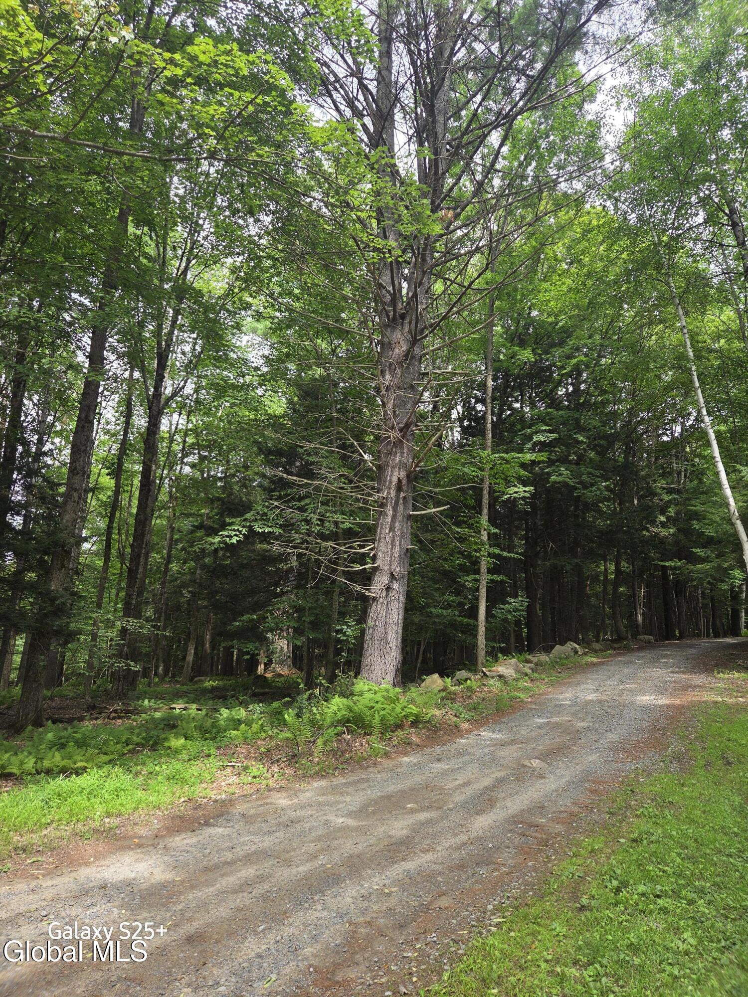 L18 Fonda Private Avenue Hadley NY 12835