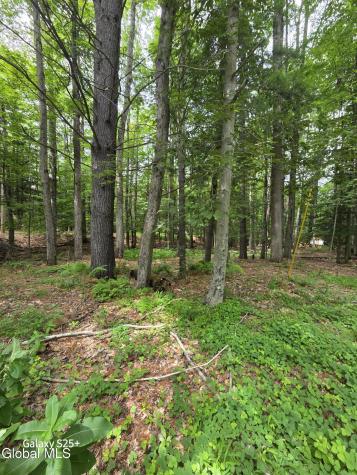 L18 Fonda Private Avenue Hadley NY 12835