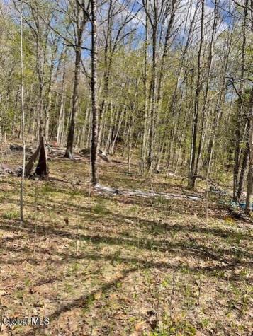 860 Nys Route 30 Northville NY 12134