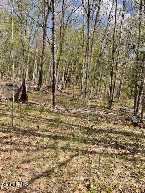 860 Nys Route 30 Northville NY 12134