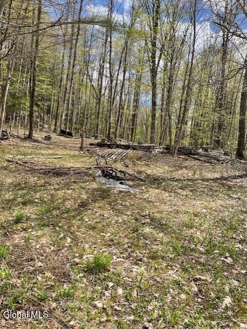 860 Nys Route 30 Northville NY 12134