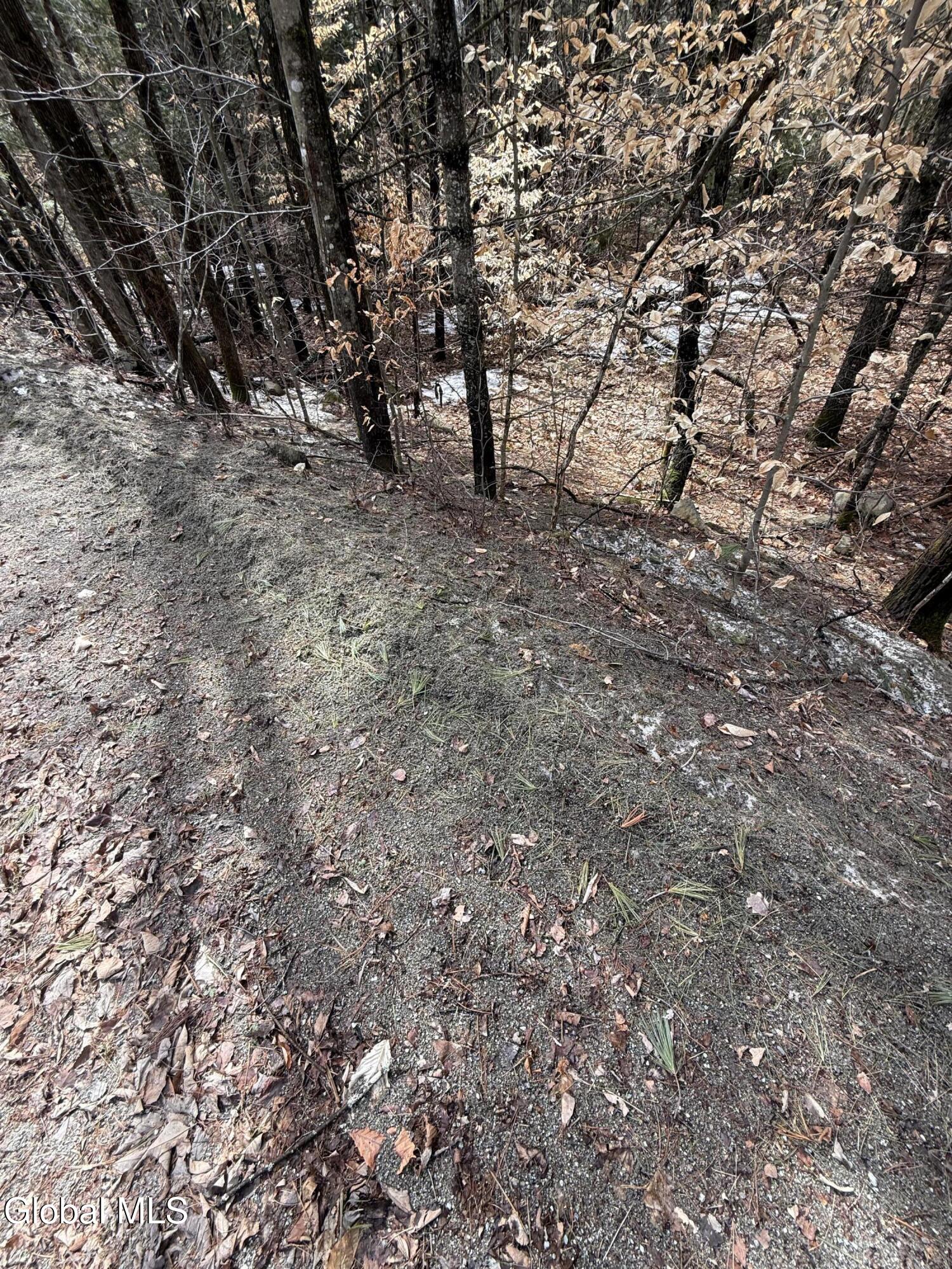 L10 Stone Bridge Road Pottersville NY 12860