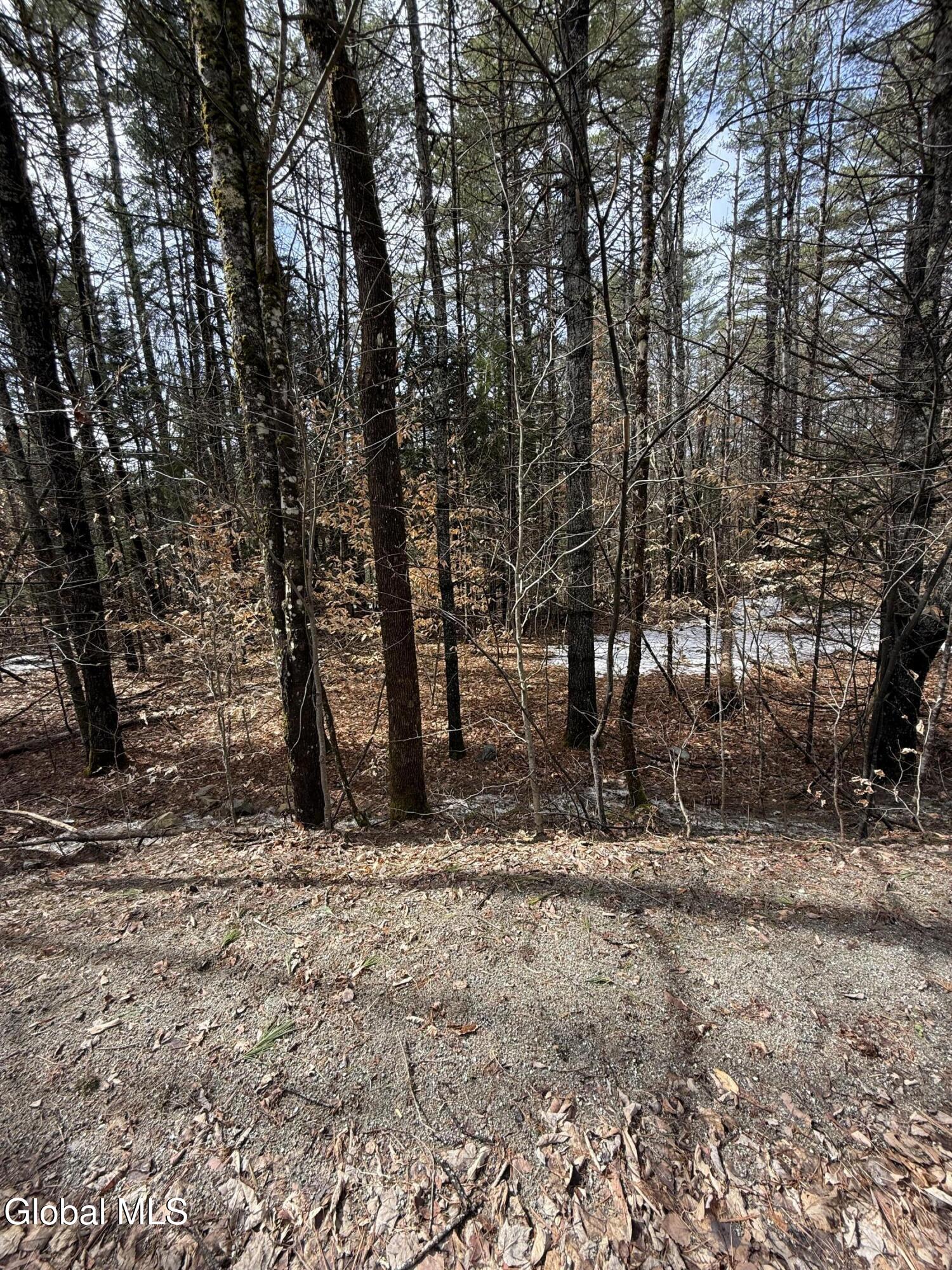 L10 Stone Bridge Road Pottersville NY 12860