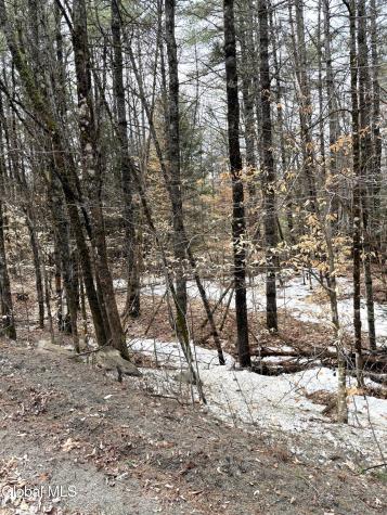 L10 Stone Bridge Road Pottersville NY 12860