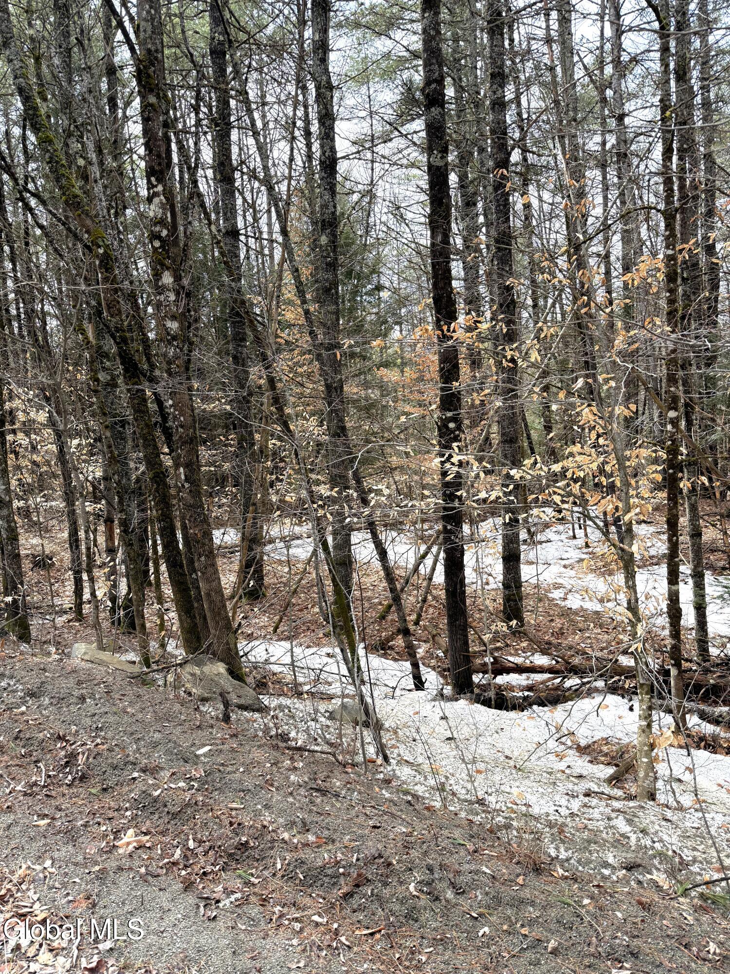 L10 Stone Bridge Road Pottersville NY 12860
