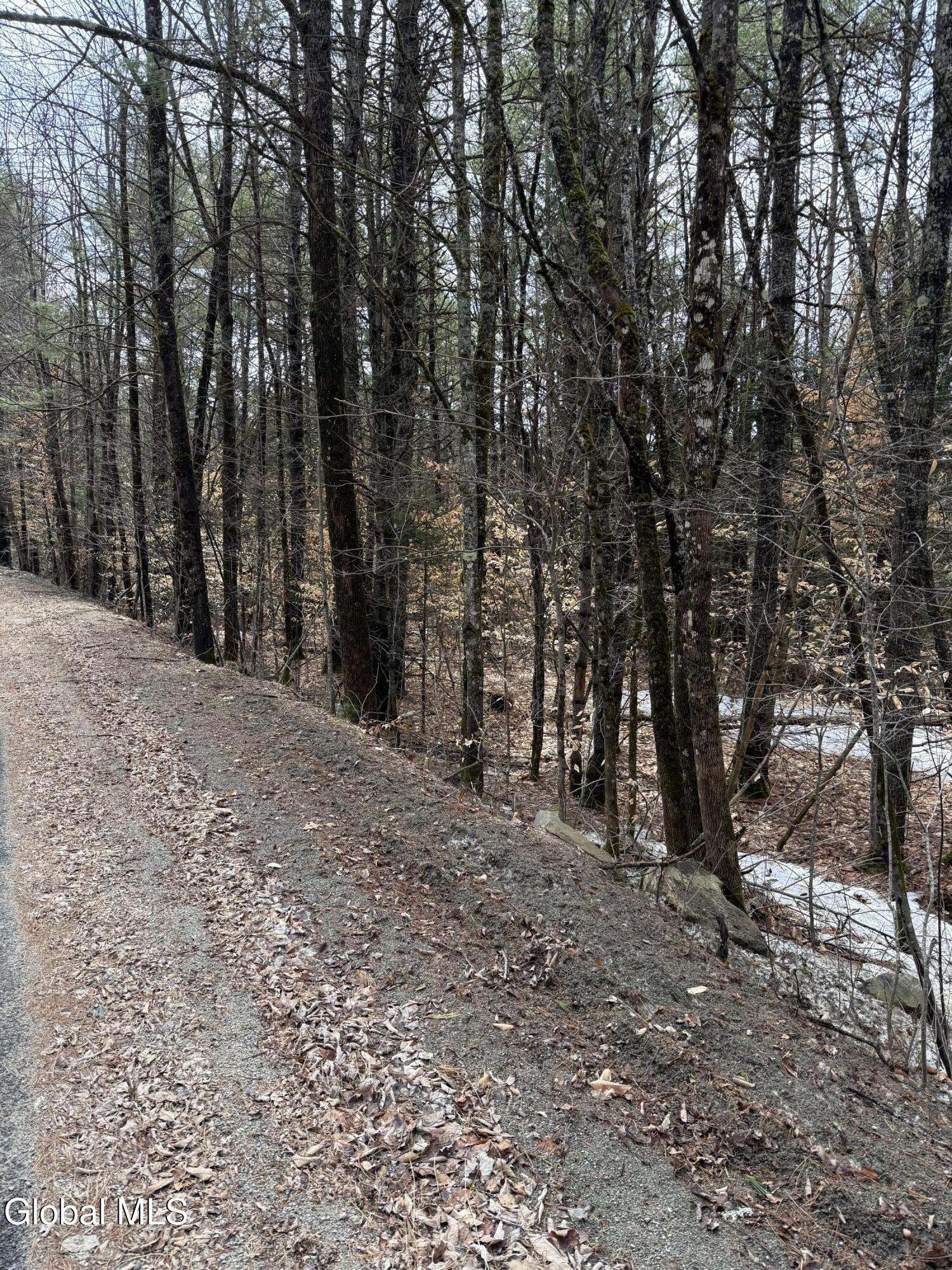 L10 Stone Bridge Road Pottersville NY 12860