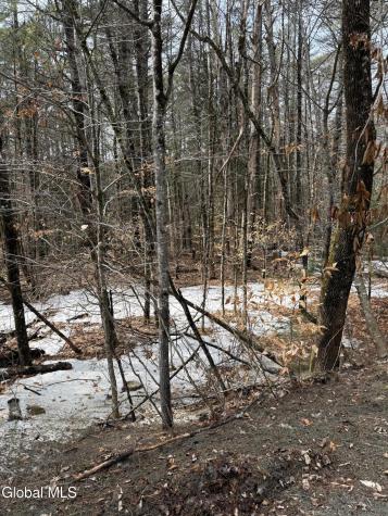 L10 Stone Bridge Road Pottersville NY 12860
