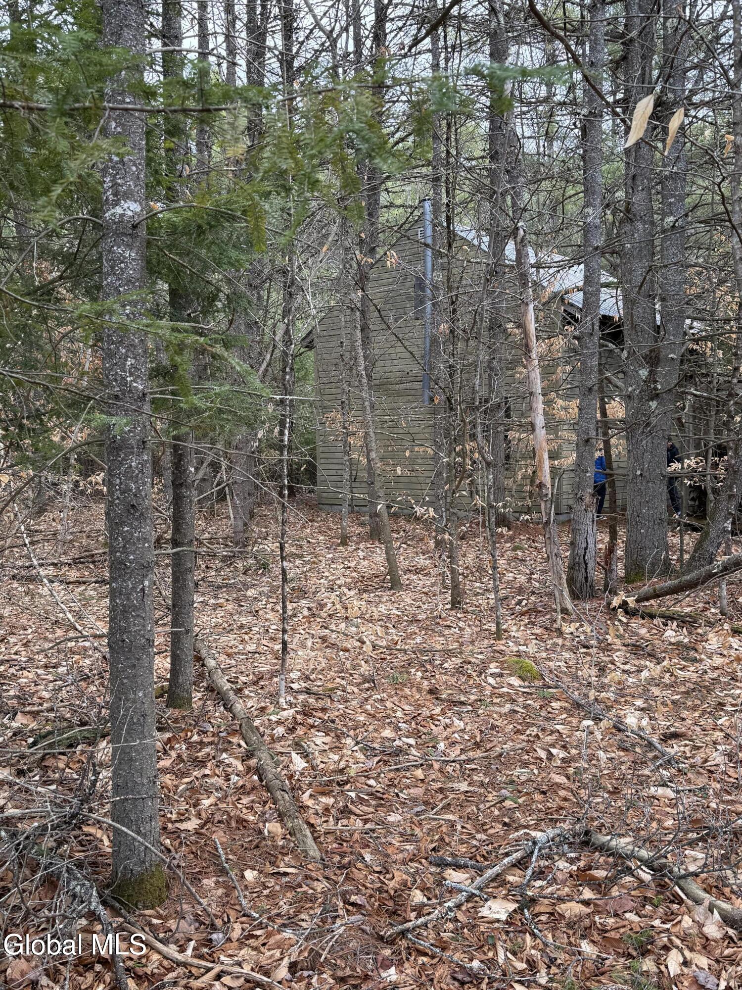 L10 Stone Bridge Road Pottersville NY 12860