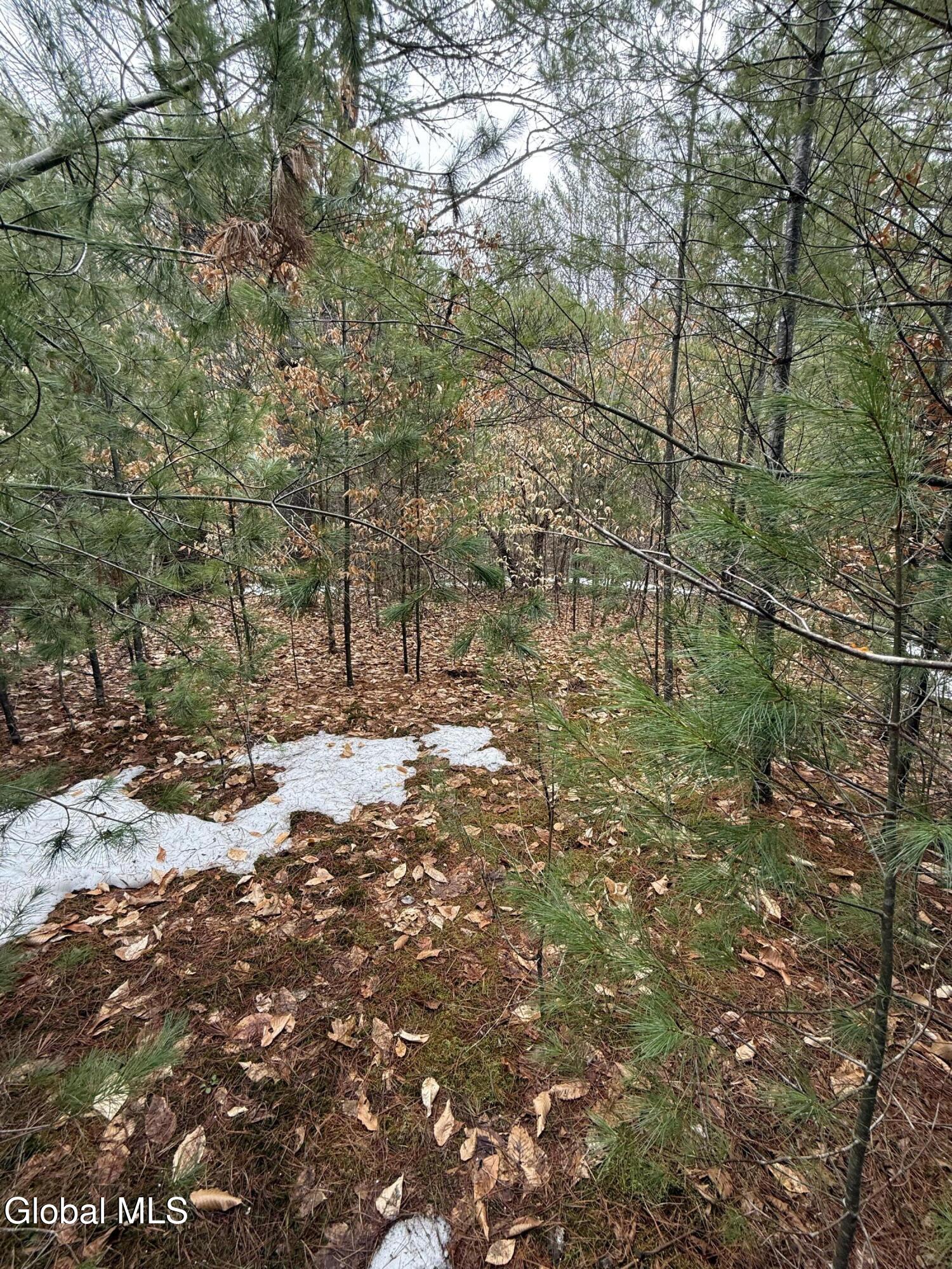 L10 Stone Bridge Road Pottersville NY 12860