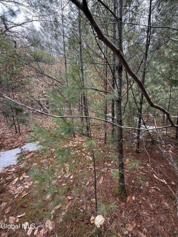 L10 Stone Bridge Road Pottersville NY 12860