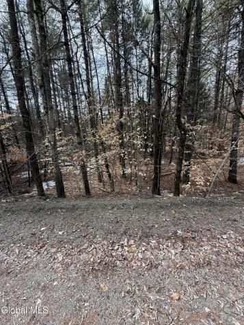 L10 Stone Bridge Road Pottersville NY 12860